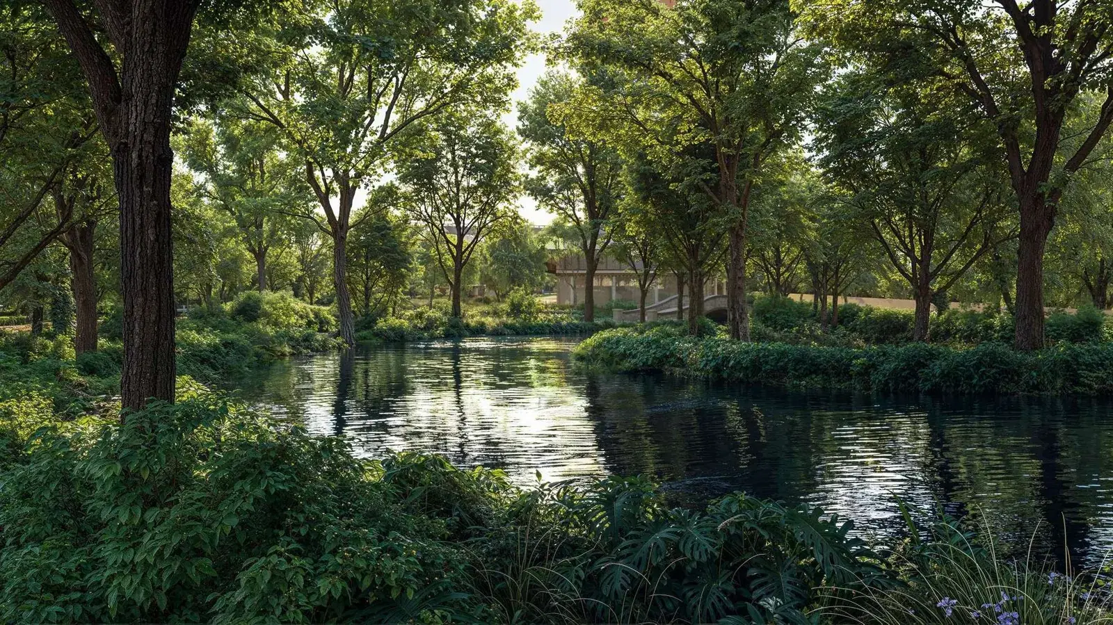 The Forest