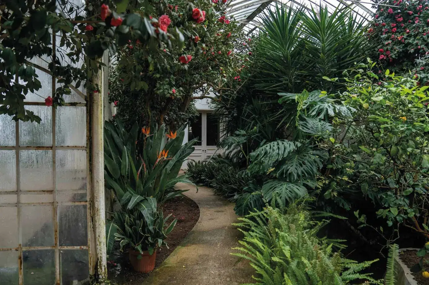 Tropical garden