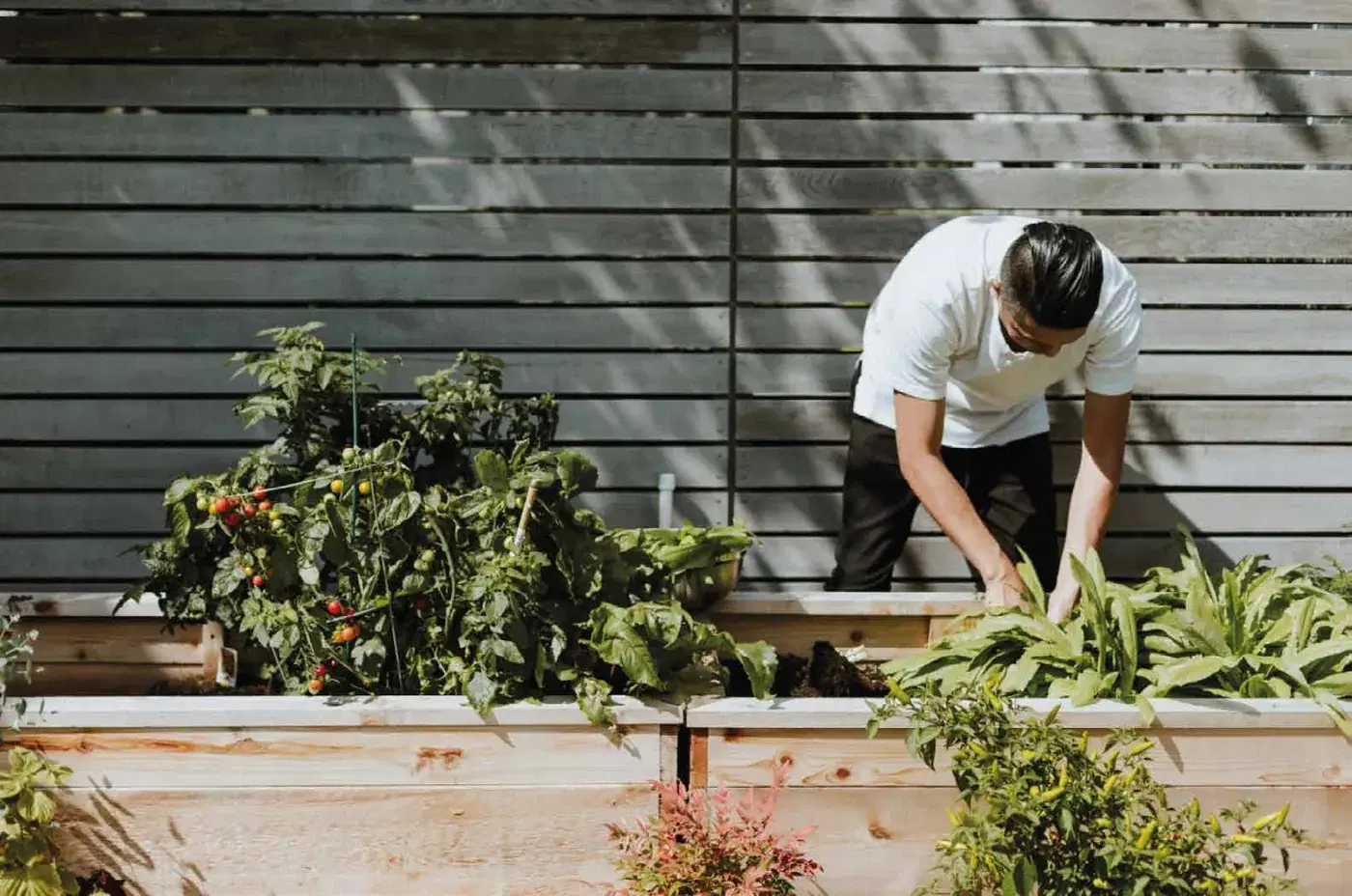 Herb garden at The Terraces (representational image)